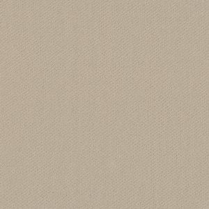 Shaw Floors Retail INFALLIBLE INSTINCT - 00103 SENTIMENTAL