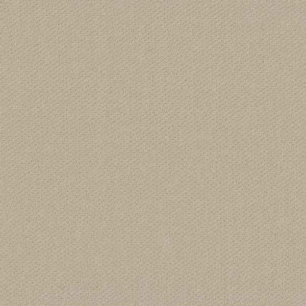 Shaw Floors Retail INFALLIBLE INSTINCT - 00103 SENTIMENTAL