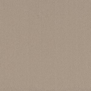 Shaw Floors Retail INFALLIBLE INSTINCT - 00104 BOUTIQUE