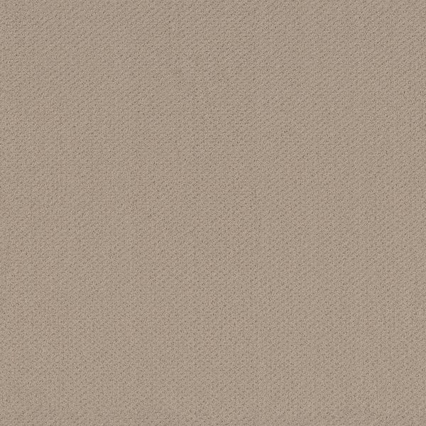 Shaw Floors Retail INFALLIBLE INSTINCT - 00104 BOUTIQUE