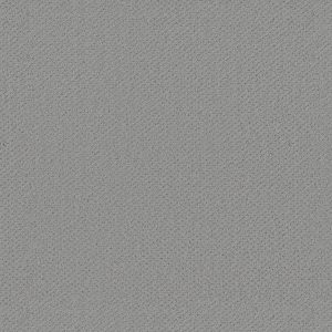 Shaw Floors Retail INFALLIBLE INSTINCT - 00477 OFFSHORE MIST