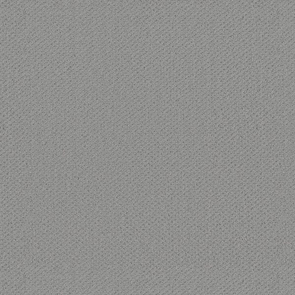Shaw Floors Retail INFALLIBLE INSTINCT - 00477 OFFSHORE MIST