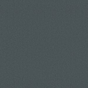 Shaw Floors Retail INFALLIBLE INSTINCT - 00410 VOYAGE