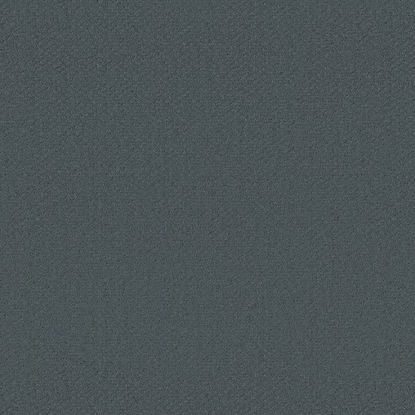 Shaw Floors Retail INFALLIBLE INSTINCT - 00410 VOYAGE