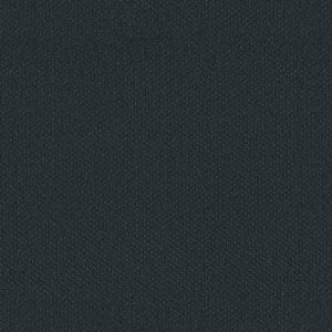Shaw Floors Retail INFALLIBLE INSTINCT - 00411 MOON BAY