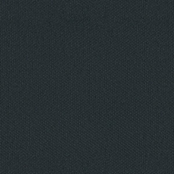 Shaw Floors Retail INFALLIBLE INSTINCT - 00411 MOON BAY