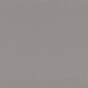 Shaw Floors Retail INFALLIBLE INSTINCT - 00570 SILHOUETTE