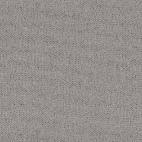 Shaw Floors Retail INFALLIBLE INSTINCT - 00570 SILHOUETTE