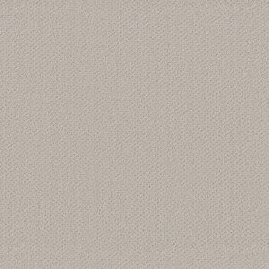Shaw Floors Retail INFALLIBLE INSTINCT - 00574 ROCK CRYSTAL