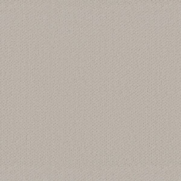 Shaw Floors Retail INFALLIBLE INSTINCT - 00574 ROCK CRYSTAL
