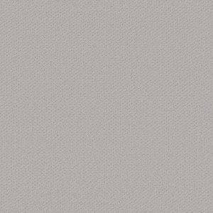 Shaw Floors Retail INFALLIBLE INSTINCT - 00576 ETCHED GLASS