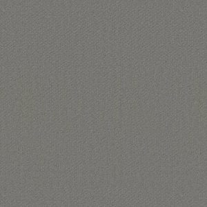 Shaw Floors Retail INFALLIBLE INSTINCT - 00577 METAL