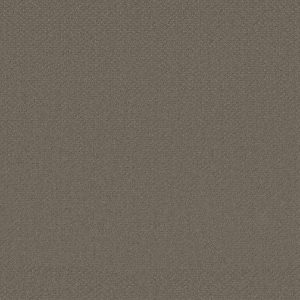 Shaw Floors Retail INFALLIBLE INSTINCT - 00771 ABBEY STONE