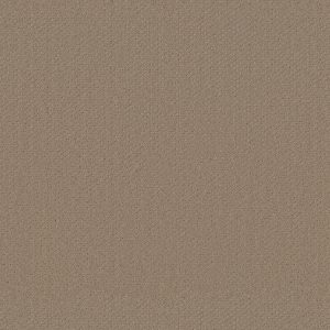 Shaw Floors Retail INFALLIBLE INSTINCT - 00703 BISCOTTI