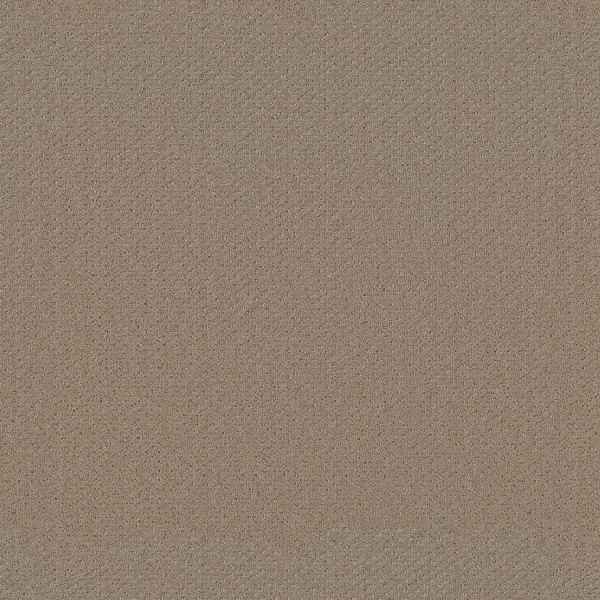 Shaw Floors Retail INFALLIBLE INSTINCT - 00703 BISCOTTI