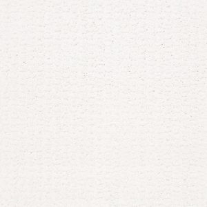 Shaw Floors Retail COMPLETE CONTROL - 00170 WHITE HOT