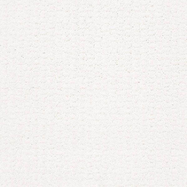 Shaw Floors Retail COMPLETE CONTROL - 00170 WHITE HOT