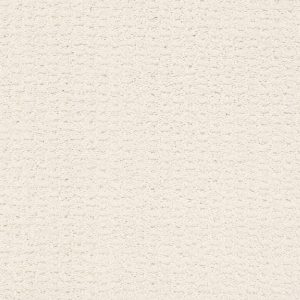 Shaw Floors Retail COMPLETE CONTROL - 00171 CRISP LINEN