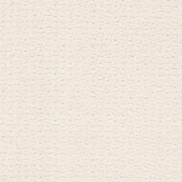 Shaw Floors Retail COMPLETE CONTROL - 00171 CRISP LINEN