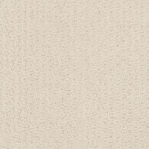 Shaw Floors Retail COMPLETE CONTROL - 00172 ALABASTER