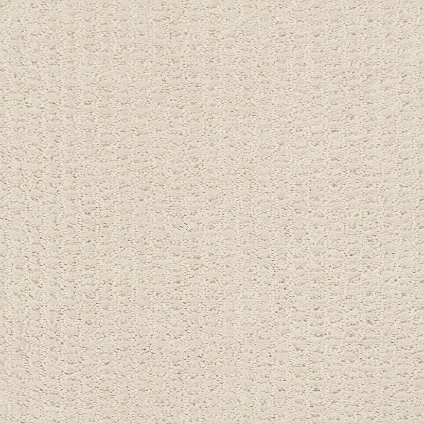 Shaw Floors Retail COMPLETE CONTROL - 00172 ALABASTER