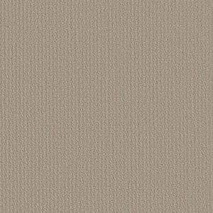 Shaw Floors Retail COMPLETE CONTROL - 00173 STUDIO TAUPE
