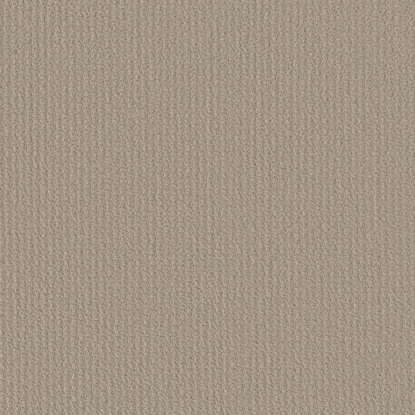 Shaw Floors Retail COMPLETE CONTROL - 00173 STUDIO TAUPE