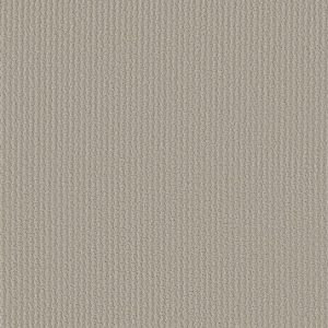 Shaw Floors Retail COMPLETE CONTROL - 00175 QUIET MOMENT