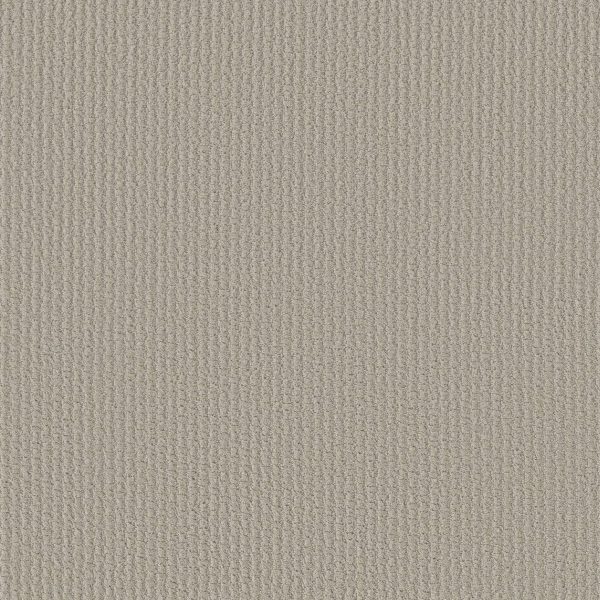 Shaw Floors Retail COMPLETE CONTROL - 00175 QUIET MOMENT