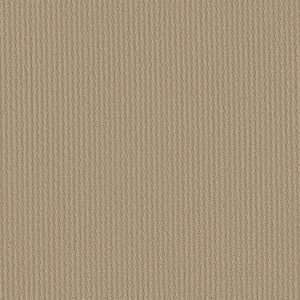 Shaw Floors Retail COMPLETE CONTROL - 00102 SOFT HONEY