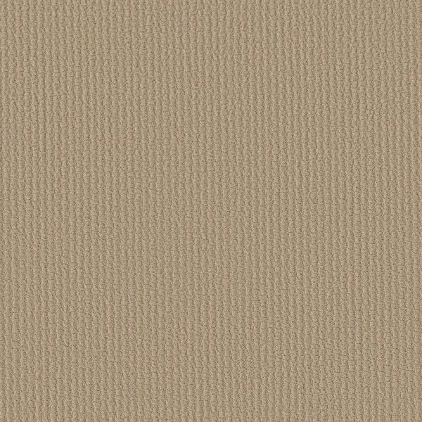 Shaw Floors Retail COMPLETE CONTROL - 00102 SOFT HONEY