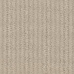 Shaw Floors Retail COMPLETE CONTROL - 00103 SENTIMENTAL