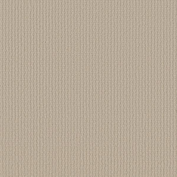 Shaw Floors Retail COMPLETE CONTROL - 00103 SENTIMENTAL
