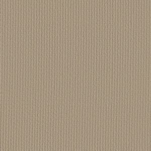 Shaw Floors Retail COMPLETE CONTROL - 00104 BOUTIQUE