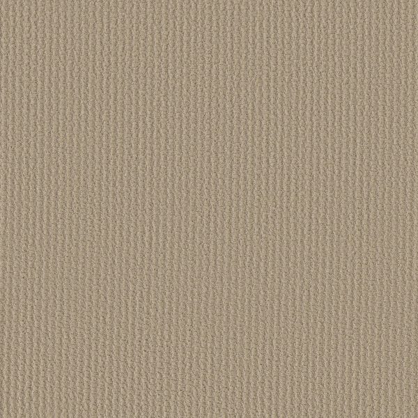 Shaw Floors Retail COMPLETE CONTROL - 00104 BOUTIQUE