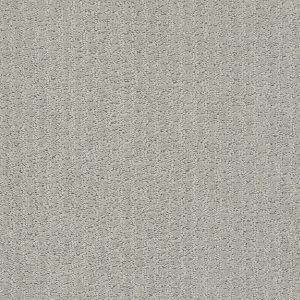 Shaw Floors Retail COMPLETE CONTROL - 00477 OFFSHORE MIST