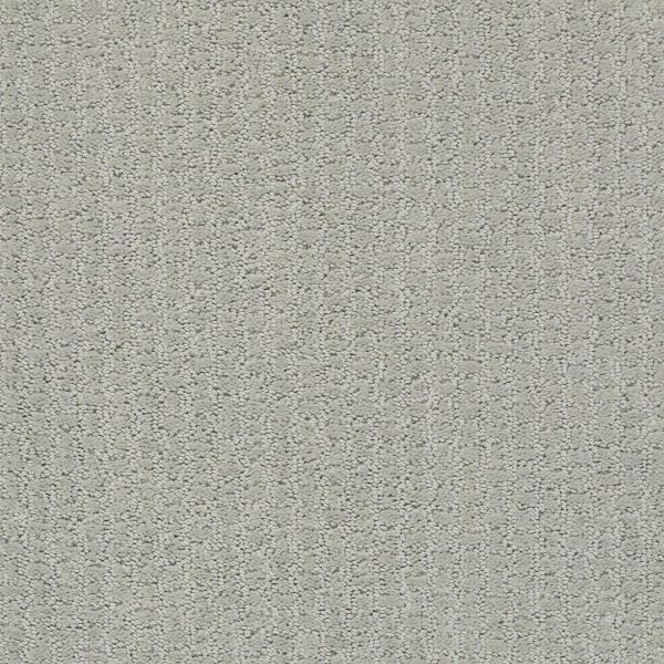 Shaw Floors Retail COMPLETE CONTROL - 00477 OFFSHORE MIST