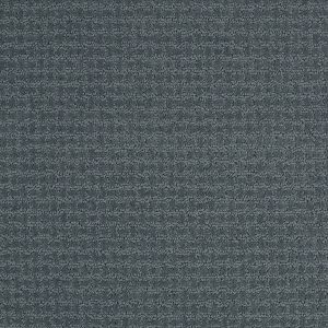 Shaw Floors Retail COMPLETE CONTROL - 00410 VOYAGE