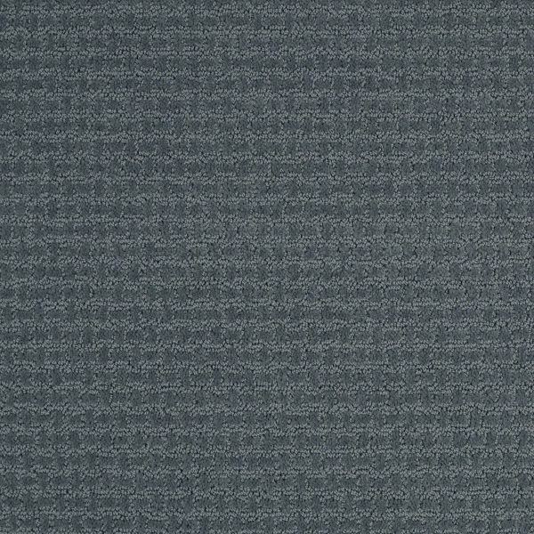 Shaw Floors Retail COMPLETE CONTROL - 00410 VOYAGE