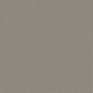 Shaw Floors Retail COMPLETE CONTROL - 00570 SILHOUETTE