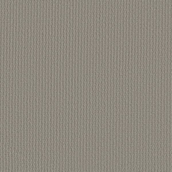 Shaw Floors Retail COMPLETE CONTROL - 00570 SILHOUETTE