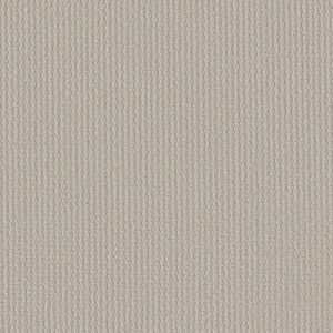 Shaw Floors Retail COMPLETE CONTROL - 00574 ROCK CRYSTAL