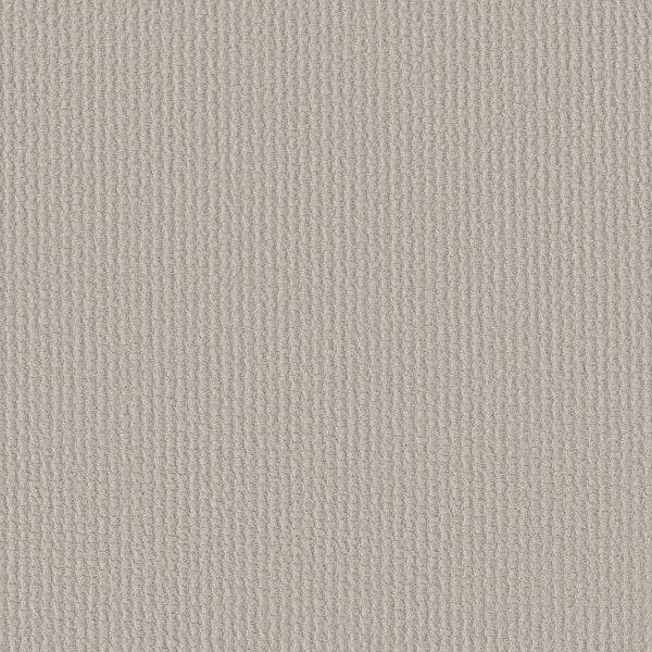 Shaw Floors Retail COMPLETE CONTROL - 00574 ROCK CRYSTAL