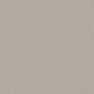 Shaw Floors Retail COMPLETE CONTROL - 00576 ETCHED GLASS
