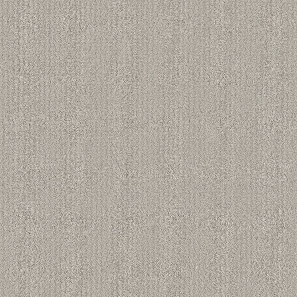 Shaw Floors Retail COMPLETE CONTROL - 00576 ETCHED GLASS