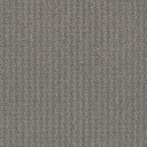 Shaw Floors Retail COMPLETE CONTROL - 00577 METAL