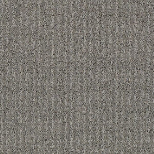 Shaw Floors Retail COMPLETE CONTROL - 00577 METAL