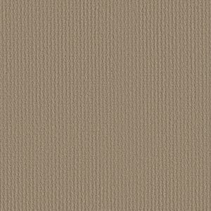 Shaw Floors Retail COMPLETE CONTROL - 00703 BISCOTTI