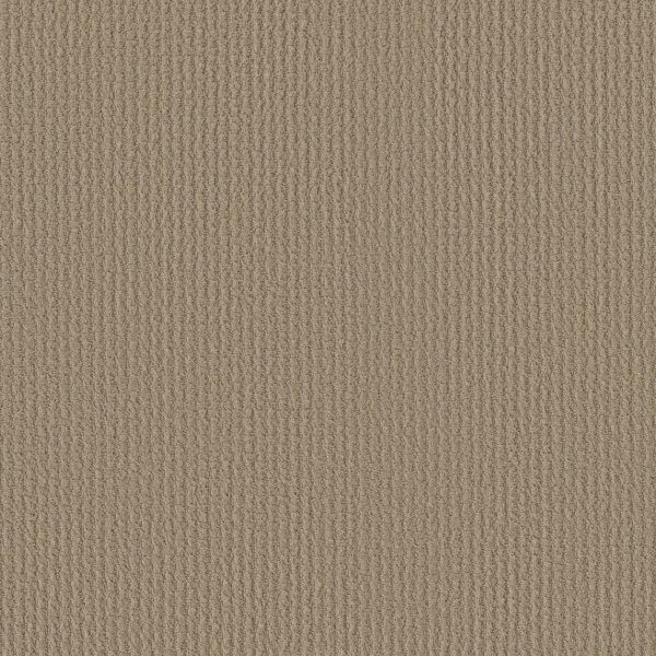 Shaw Floors Retail COMPLETE CONTROL - 00703 BISCOTTI