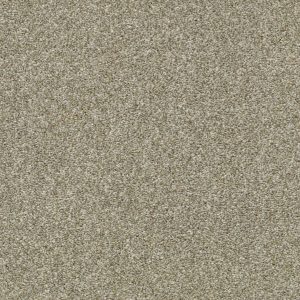 Shaw Floors Retail CABANA LIFE (T) - 00135 PEBBLE CREEK